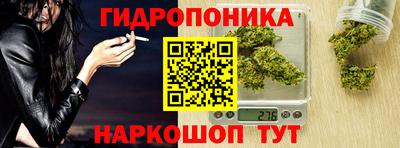 a pvp Аша