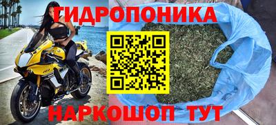 a pvp Аша