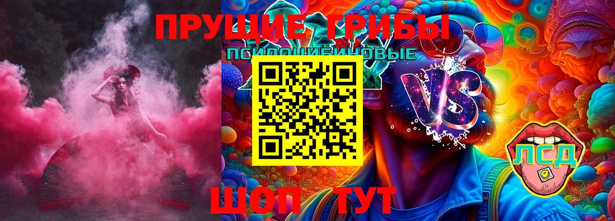 Верхняя Салда  Псилоцибиновые грибы мицелий  Вход с VPN  Псилоцибиновые грибы GOLDEN TEACHER 