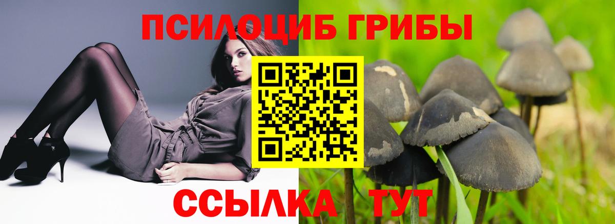 Псилоцибиновые грибы прущие грибы Верхняя Салда